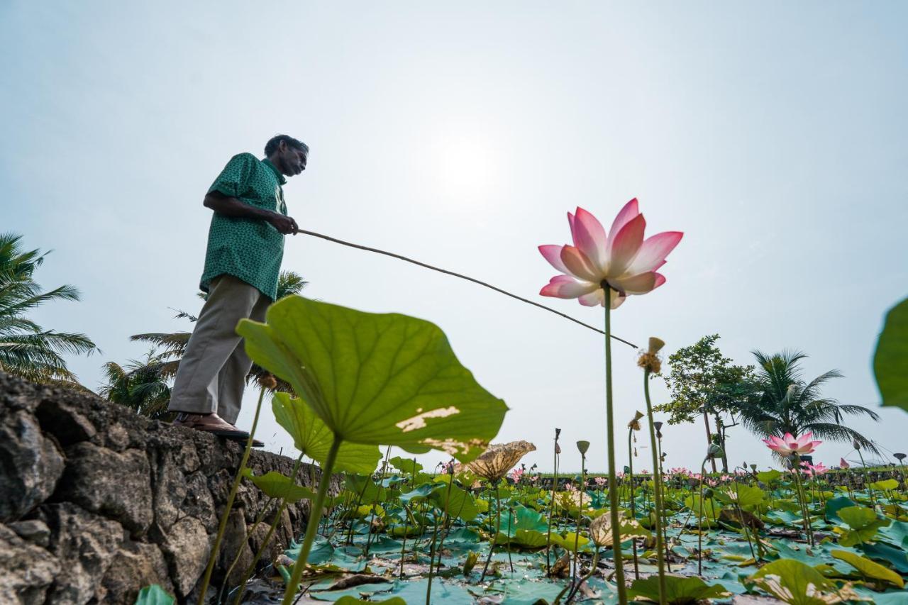 Ama Stays & Trails, Pathiramanal Villa Alappuzha Exteriör bild